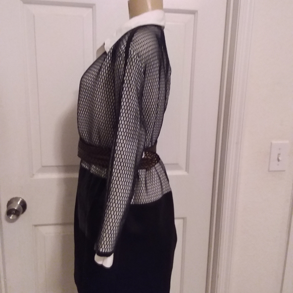 Belt - Picture 10 of 16